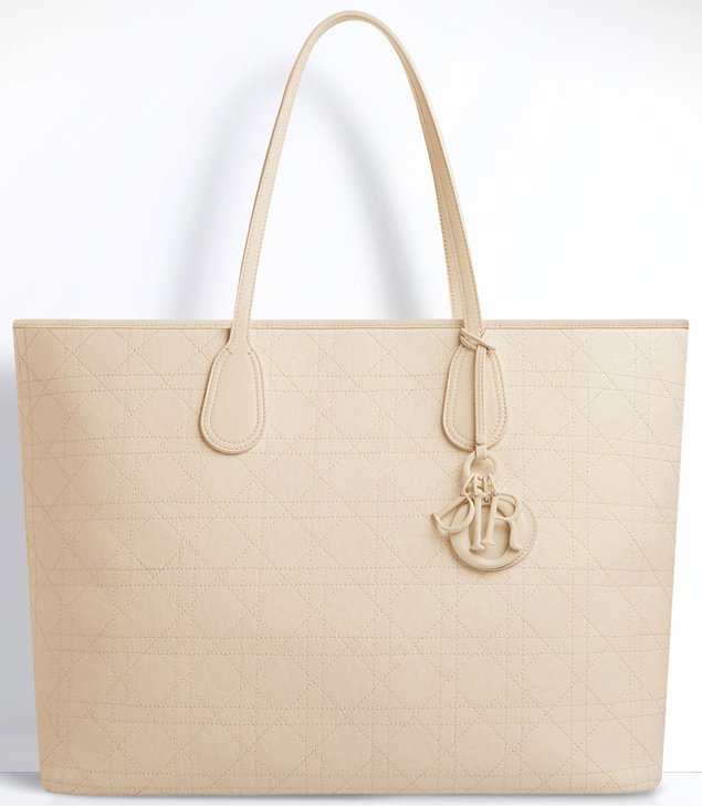 Christian Dior Panarea Tote Bag (Medium), Women's Fashion, Bags