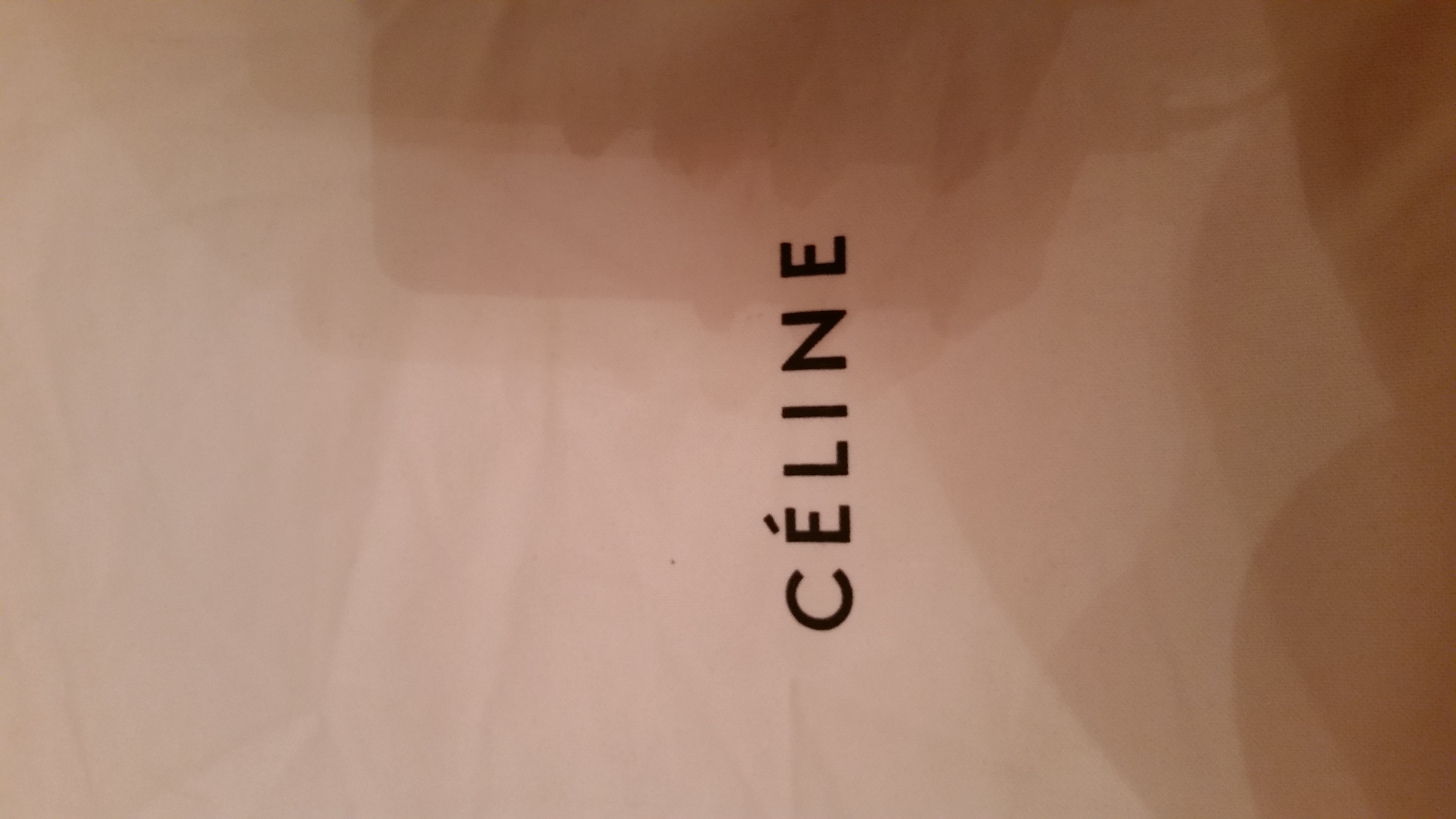 I Almost Lost 1640 USD On A Fake Celine Bag Through