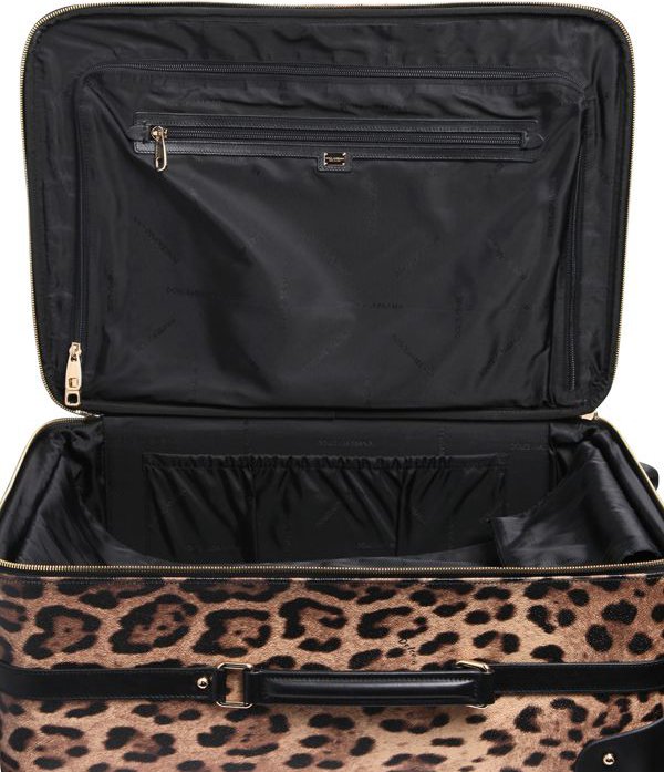 d&g luggage