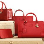 Loewe Year Of The Horse Amazona Bag thumb