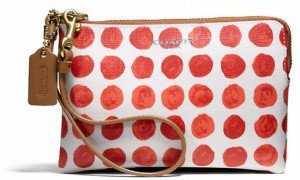 Coach Valentine Heart Pouches | Bragmybag