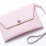 dior addict exchappee pouch