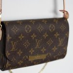 louis vuitton favorite bag thumb