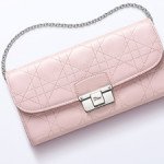 DIORLING PROMENADE POUCH thumb