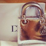 Lady Dior Mini Python Silver Bag thumb