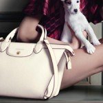 alex chung second ad campaign longchamp le pliage thumb