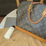 louis vuitton alma bag care clean maintenance thumb