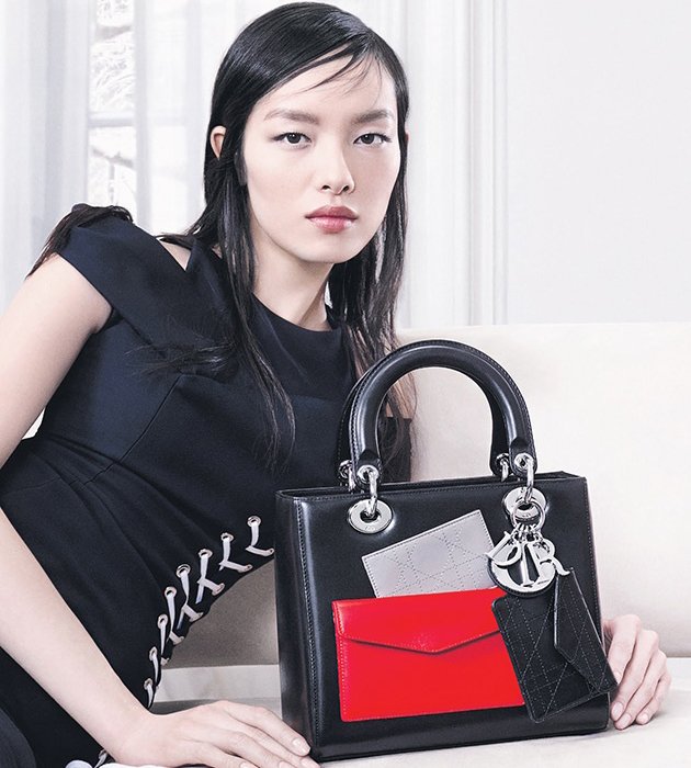 Dior Fall Winter 2014 Handbag Campaign Part 2 | Bragmybag