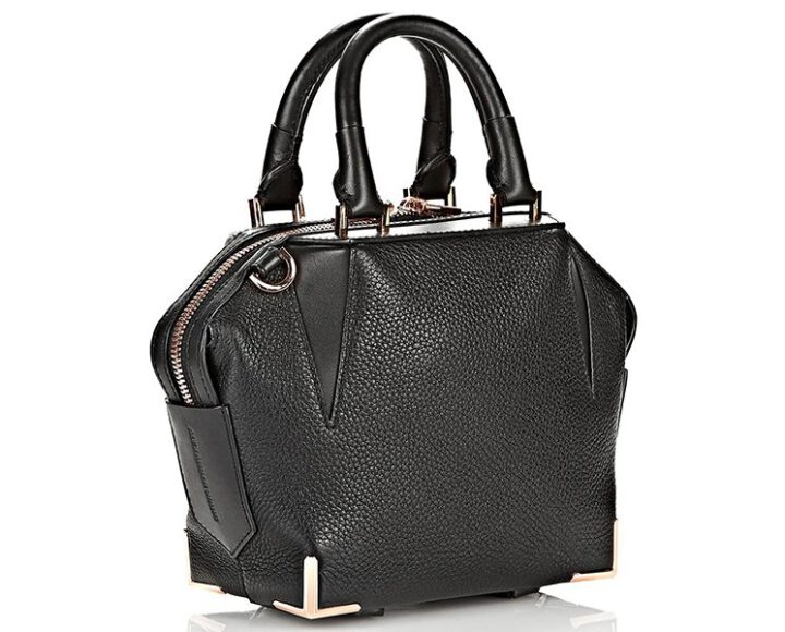 Alexander Wang Mini Emile Bag | Bragmybag