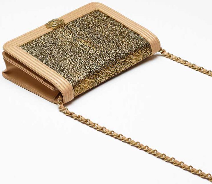 Boy Chanel Galuchat Wallet On Chain Bag | Bragmybag
