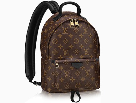What is Louis Vuitton's BEST bag? 🤔 The 2 in 1 bag that is