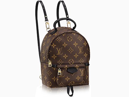 Louis Vuitton LV Palm Springs Mini PSM backpack