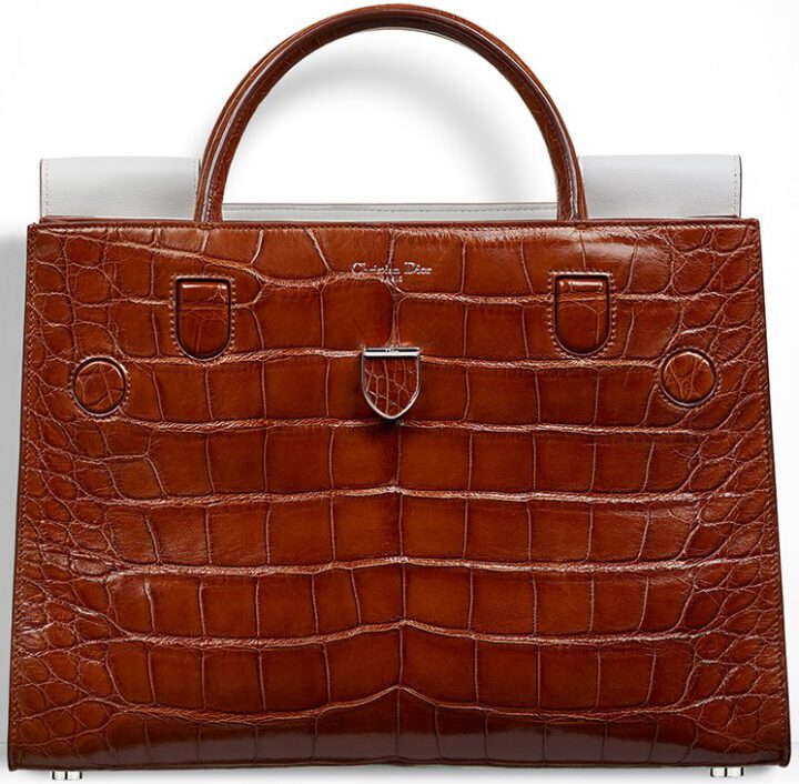 Dior Diorever Bag | Bragmybag