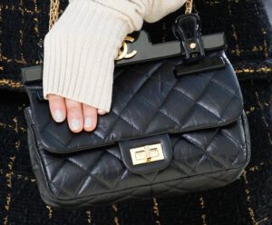 Chanel Fall Winter 2016 Runway Bag Collection | Bragmybag