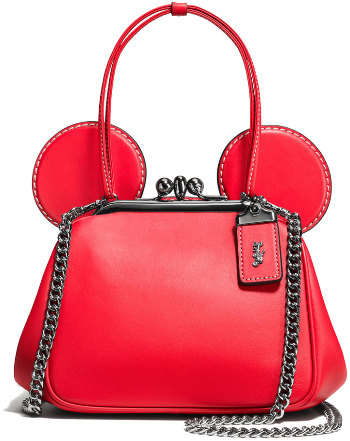 Coach X Disney Bag Collection Bragmybag