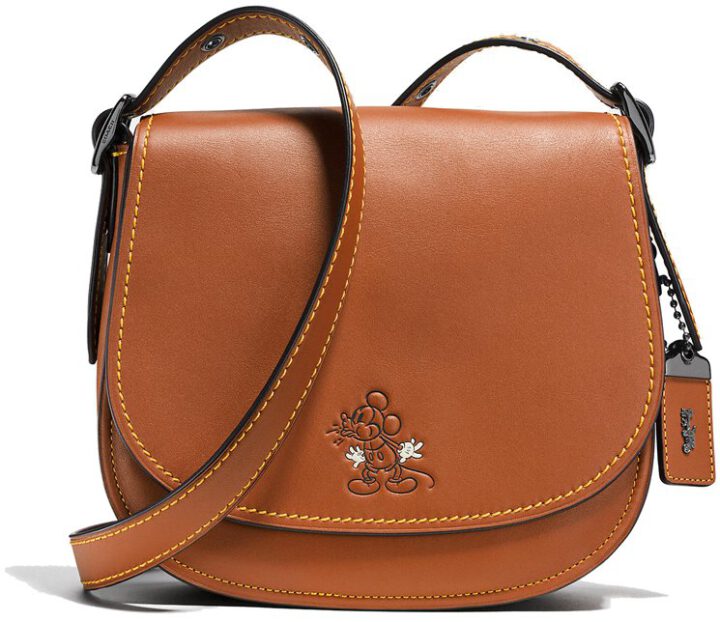 coach outlet disney purse