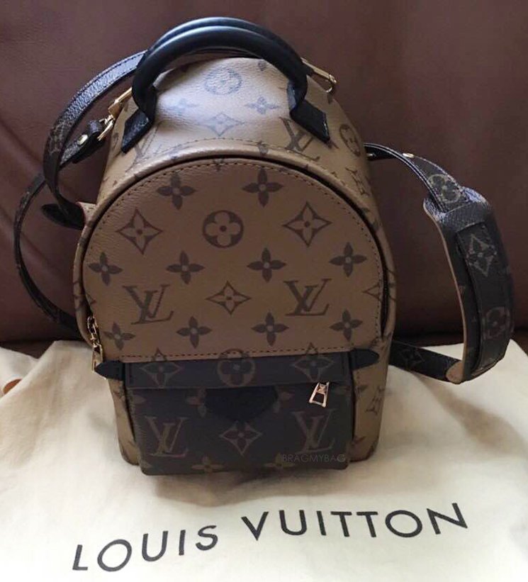 Louis Vuitton Reverse Palm Springs PM Backpack - A World Of Goods For You,  LLC