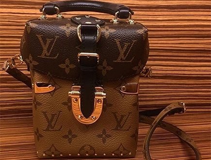 Louis Vuitton brown Monogram Camera Bag