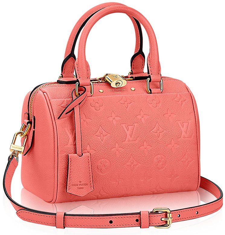 Louis Vuitton Speedy 20 Bag | Bragmybag
