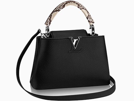 Louis Vuitton Sofia Coppola Bag for Le Bon Marché: Limited Edition