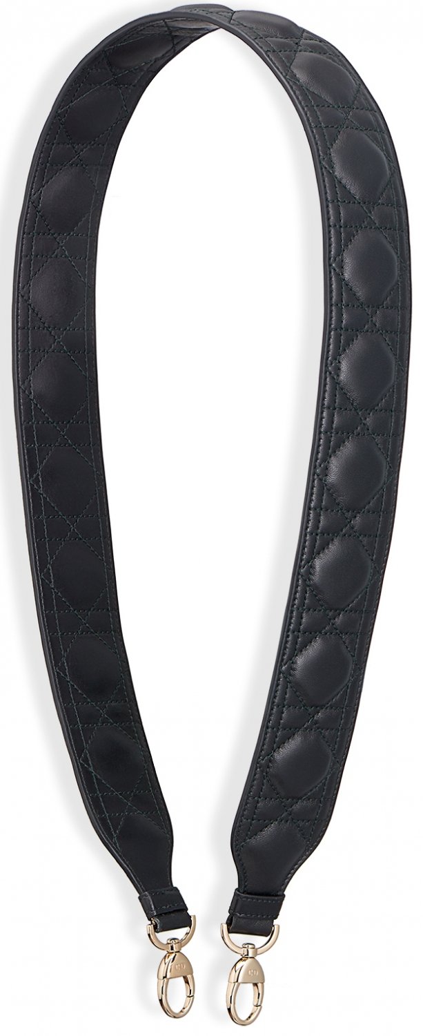 dior leather strap