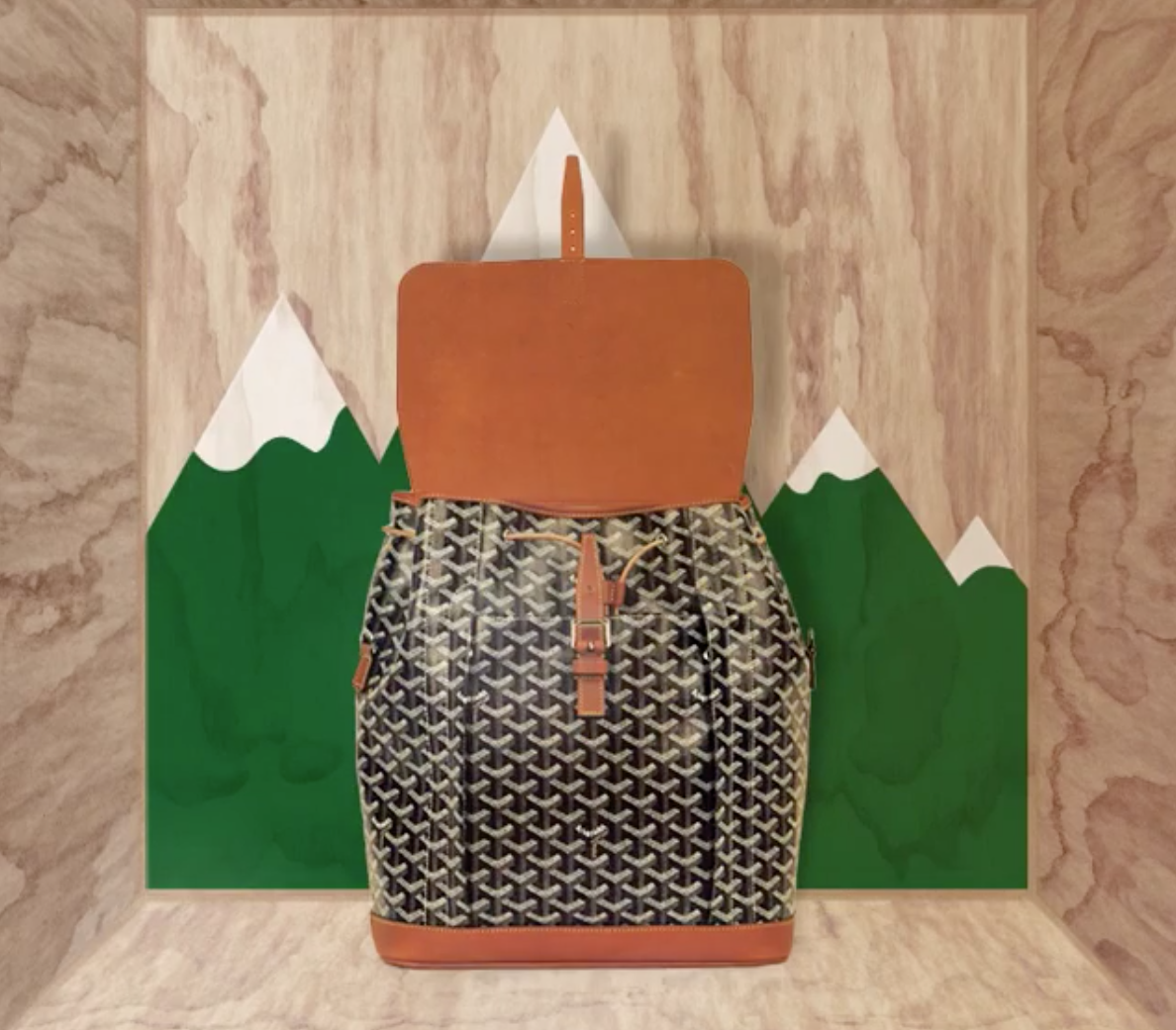 Goyard Alpin Backpack | Bragmybag
