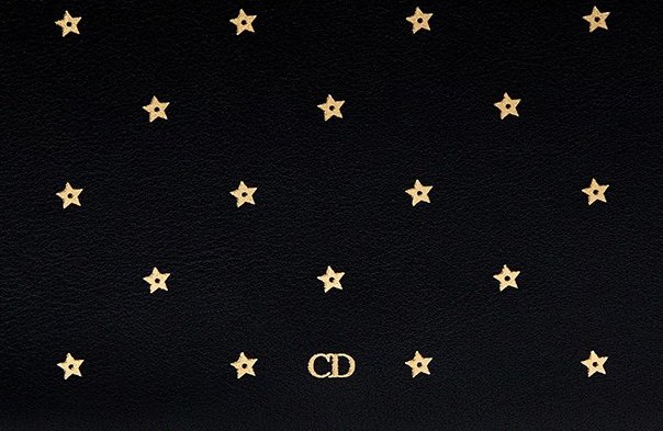 verontreiniging Il Onbekwaamheid Dior Stars Wallet On Chain | Bragmybag