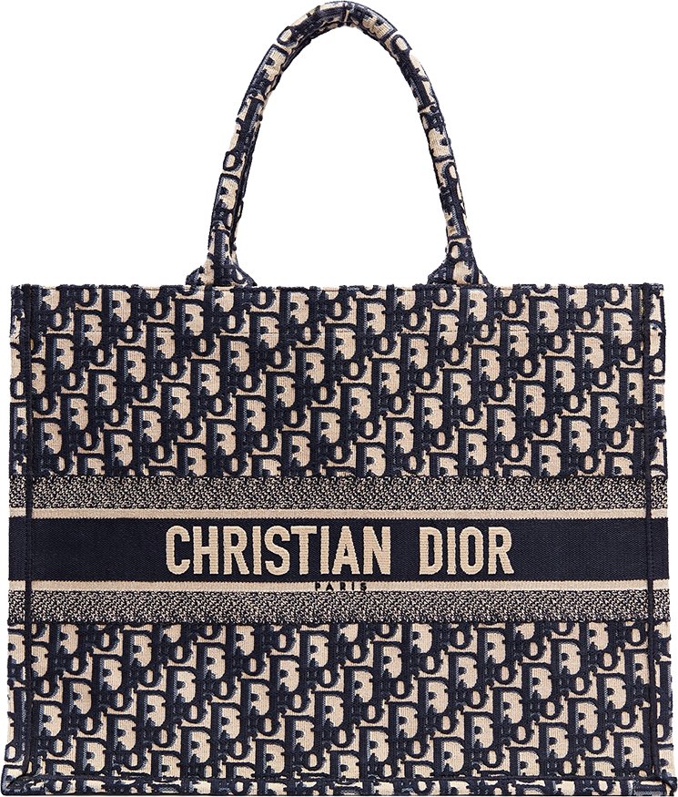 Dior Book Bag