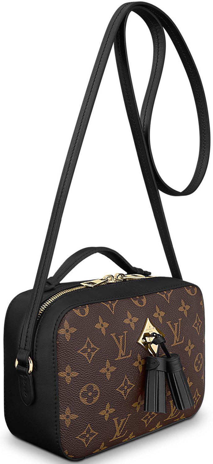 Louis Vuitton Saintonge Bag | Bragmybag