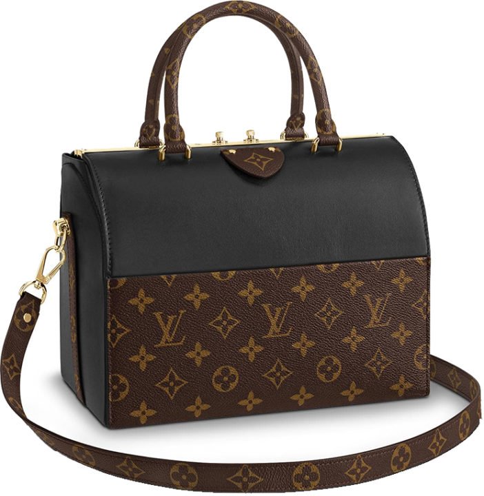 Louis Vuitton Speedy Doctor Bag With Monogram | Bragmybag