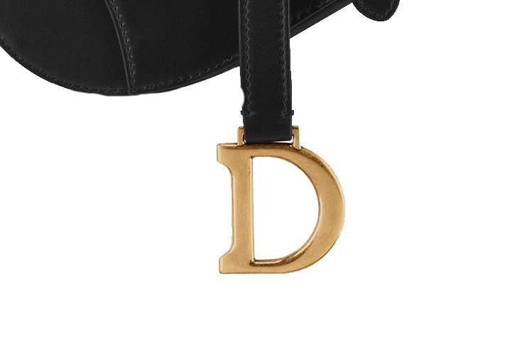 Dior Saddle Bag Size Comparison – green and slow