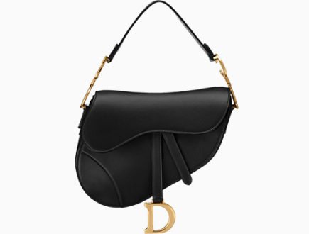 Dior Mini Saddle Bag thumb