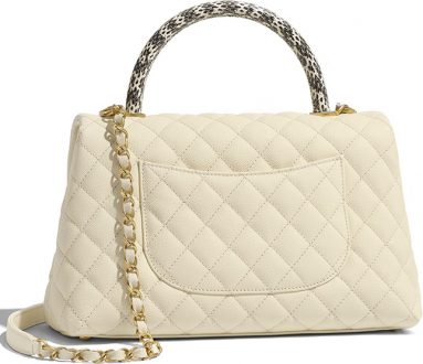 Chanel Coco Handle Bag With Elaphe Handle | Bragmybag