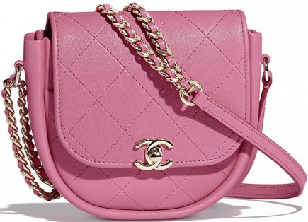 Chanel Cruise 2019 Seasonal Bag Collection | Bragmybag