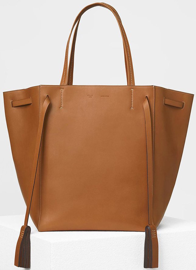 Celine Cabas Tote Review - Sizing, Wear & Tear - whatveewore