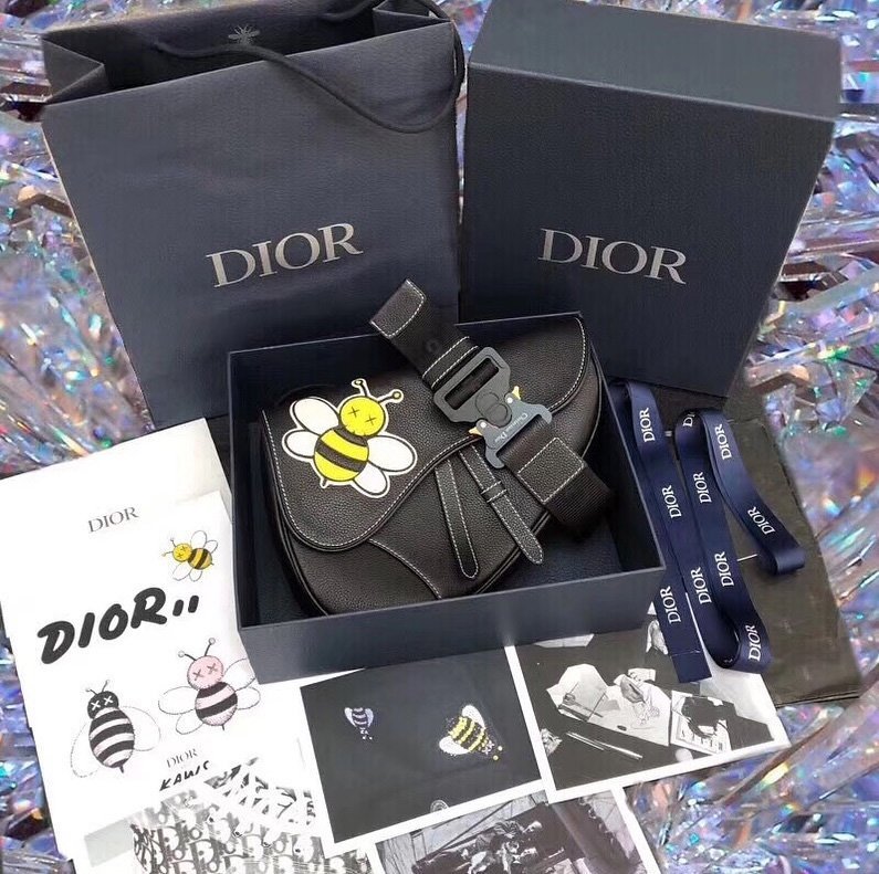 Dior X Kaws Bag | IUCN Water