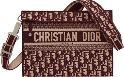 Dior Pocket Square Bag | Bragmybag