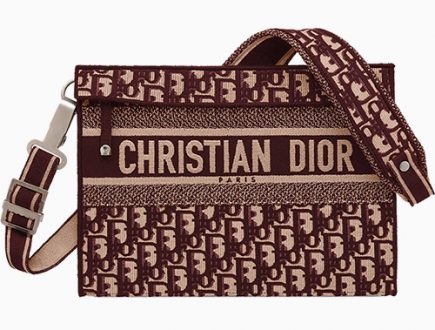 Dior Pocket Square Bag | Bragmybag