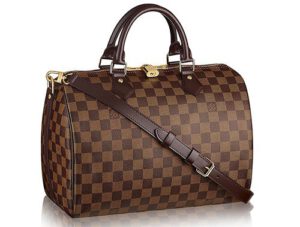 Louis Vuitton Speedy Bag | Bragmybag