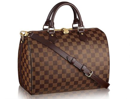 Louis Vuitton Speedy Bag thumb