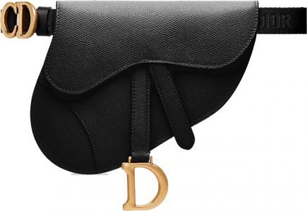 strap dior saddle