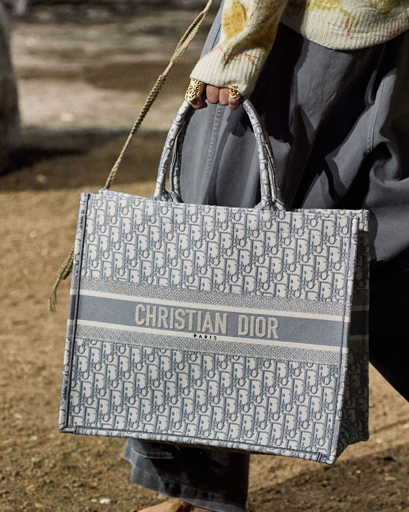 christian dior bag 2019