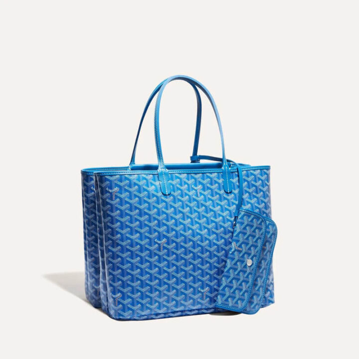 Goyard Isabelle Bag | Bragmybag