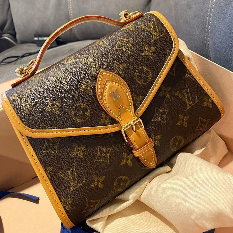 Louis Vuitton Ivy WoC  Two Month Review 
