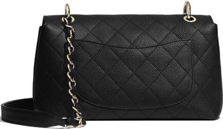 Chanel Seasonal Flap Bag From Spring Summer 2020 Collection Review ...