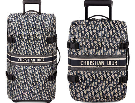 Travel Dior Bag And Trolley Case thumb