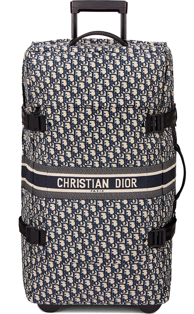 christian dior luggage