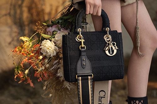 Christian Dior 2020 Medium Lady D-Lite Bag - Handle Bags, Handbags