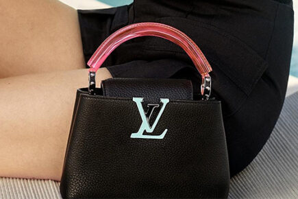 Louis Vuitton Capucines Bag with Plexiglass Top Handle | Bragmybag
