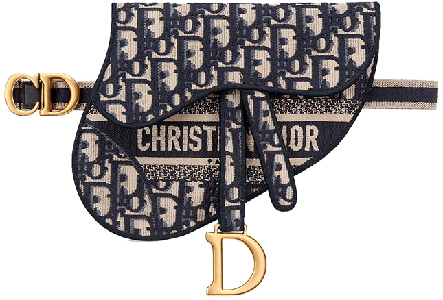 Christian Dior Saddle Flat Belt Pouch, Grey, New in Box WA001 - Julia Rose  Boston